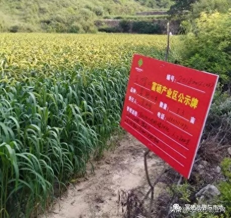 补硒后的好处(补硒后可以观察的效果)-硒宝网