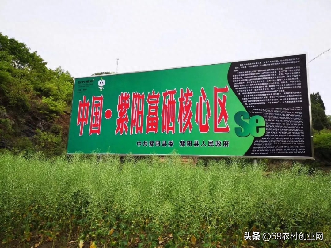 补硒后的好处(补硒后可以观察的效果)-硒宝网