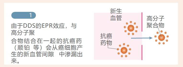 女性补硒养肝（女人补硒的保健品）-硒宝网