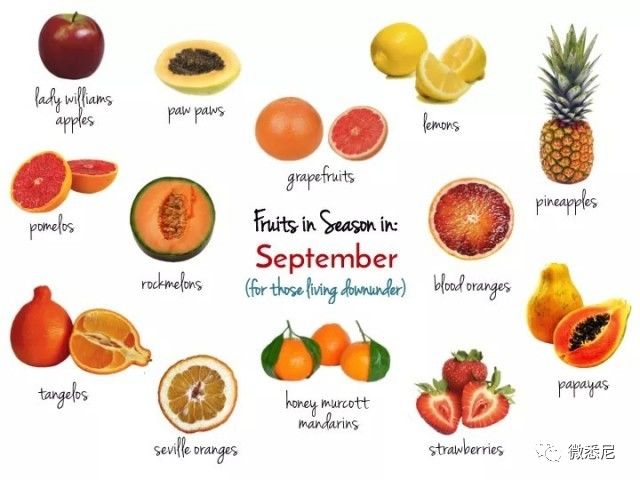 甜菜根补硒嘛(甜菜根提取物是什么)-硒宝网