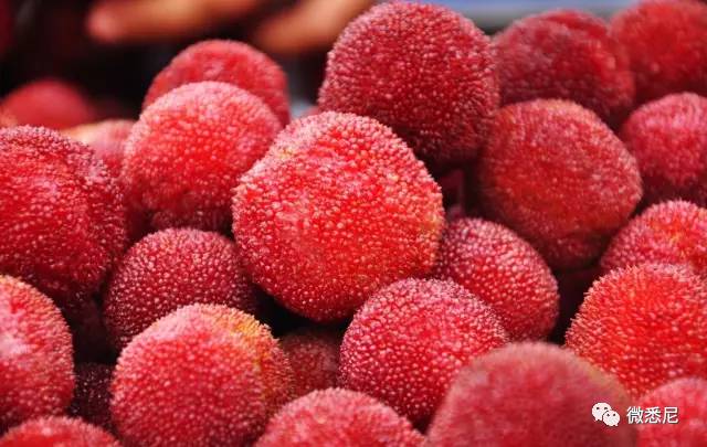 甜菜根补硒嘛(甜菜根提取物是什么)-硒宝网