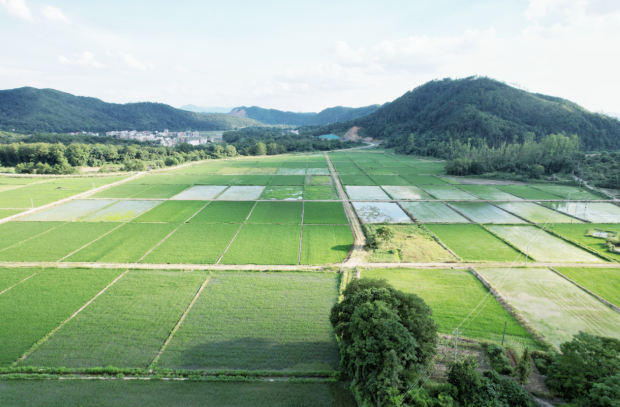 富硒奖补方案(补硒工程百度百科)-硒宝网