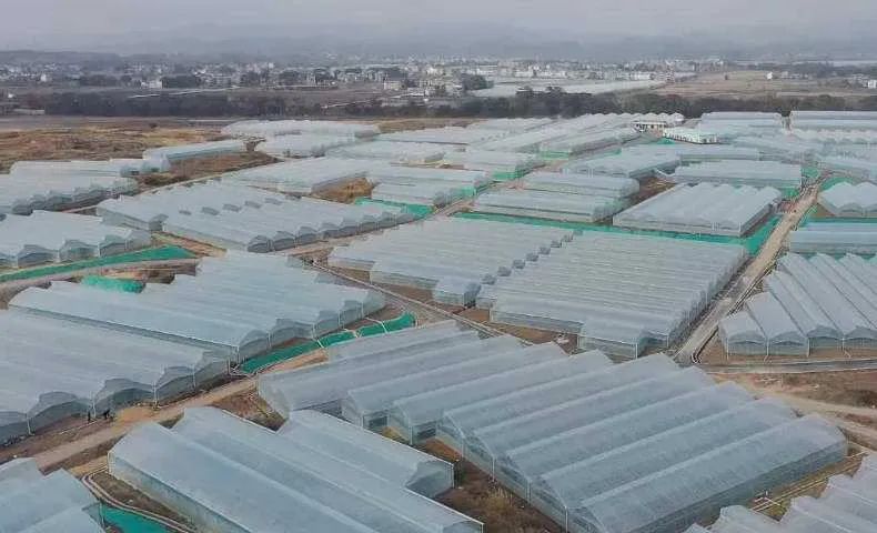 富硒奖补方案(补硒工程百度百科)-硒宝网