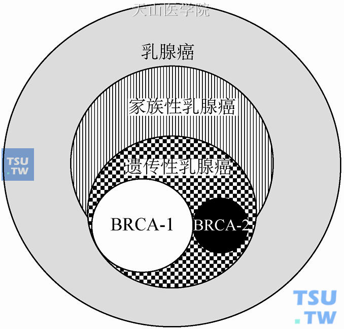 肝长息肉补硒(肝生息肉)-硒宝网