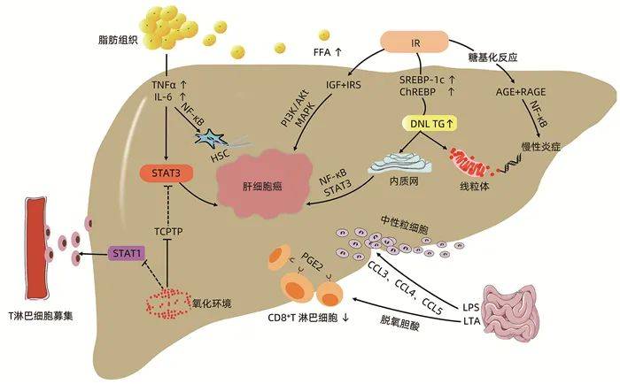 补硒对冠心?。ü谛牟〔刮筒徊沟那穑?硒宝网