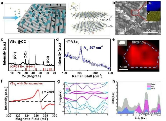 微金属硒怎补(硒微量元素对人体有什么作用)-硒宝网