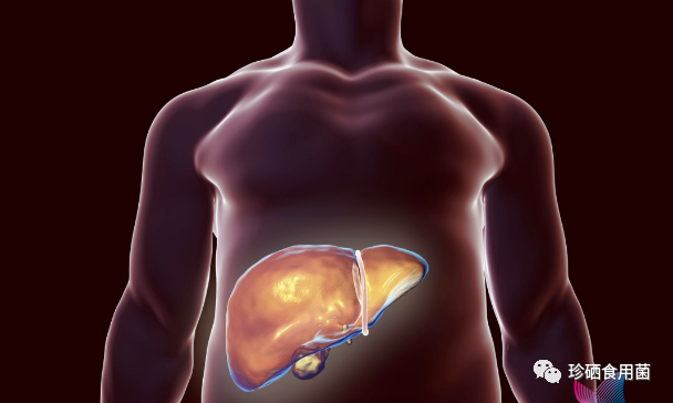 肝病要补硒吗（肝病患者补硒）-硒宝网
