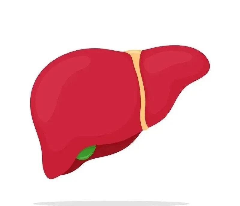 肝病要补硒吗（肝病患者补硒）-硒宝网
