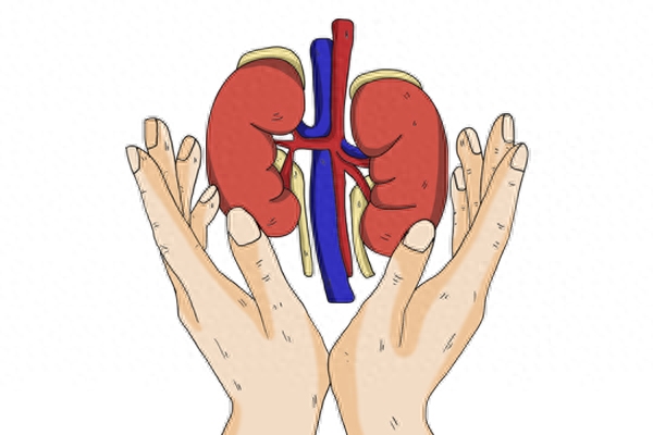 补硒降尿蛋白(尿蛋白能补钙吗)-硒宝网