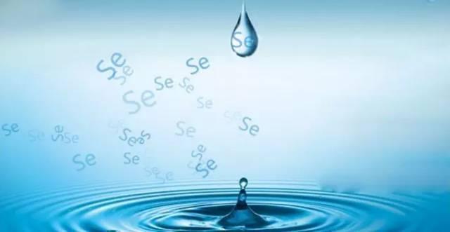 猪内脏补硒吗(猪补硒中毒怎么办)-硒宝网