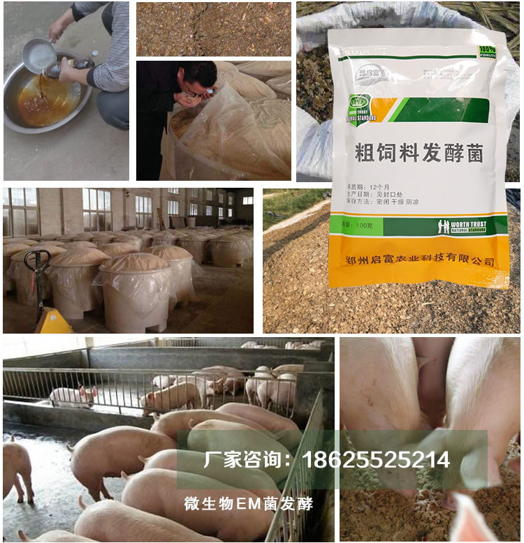 羔羊补硒的药（羊补硒过量怎么解毒）-硒宝网