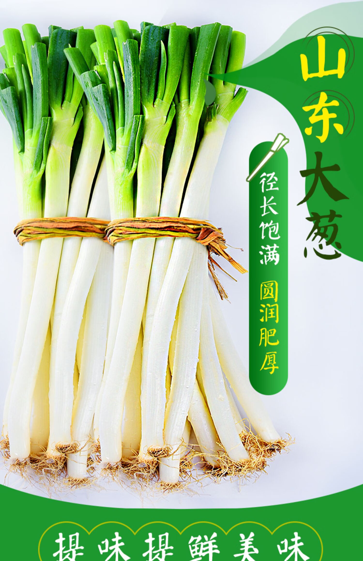 大葱能补硒吗（大葱能补钙吗）-硒宝网