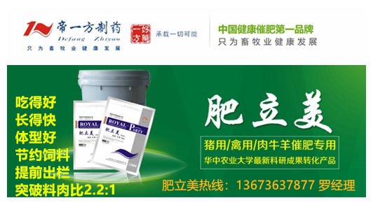 如何给鸡补硒（鸡补硒的用量）-硒宝网