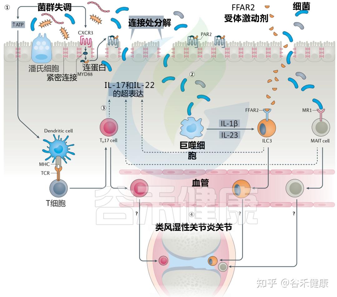 羔羊补硒的药(给羊补硒)-硒宝网