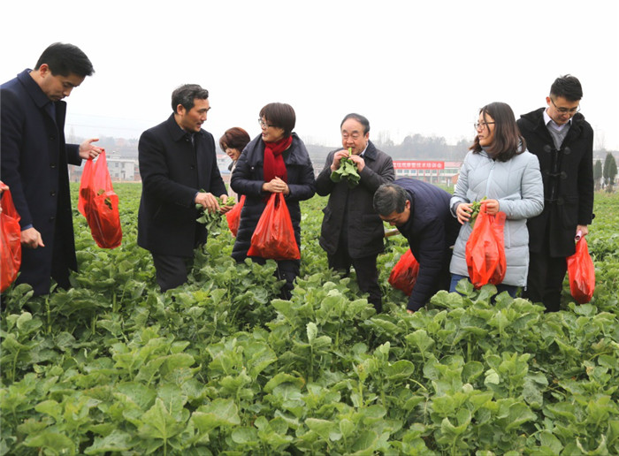 补锌补硒菜素(补锌的素菜有哪些)-硒宝网