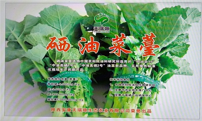 补锌补硒菜素(补锌的素菜有哪些)-硒宝网