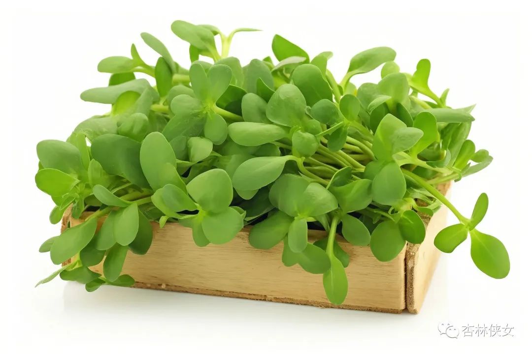 补硒对支原体（科学补硒健康生活在恩施）-硒宝网