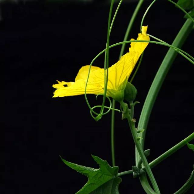 哪些是补硒药(药品补硒)-硒宝网