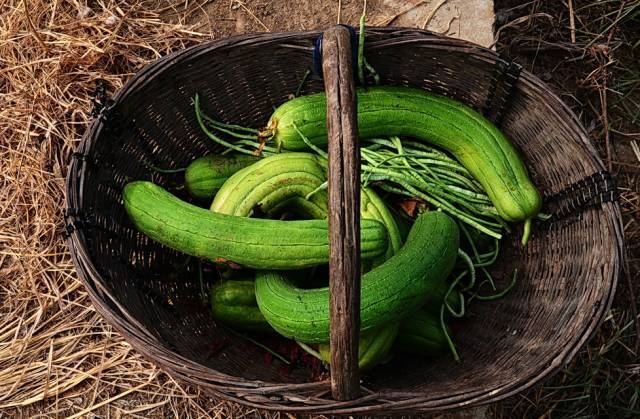 哪些是补硒药(药品补硒)-硒宝网