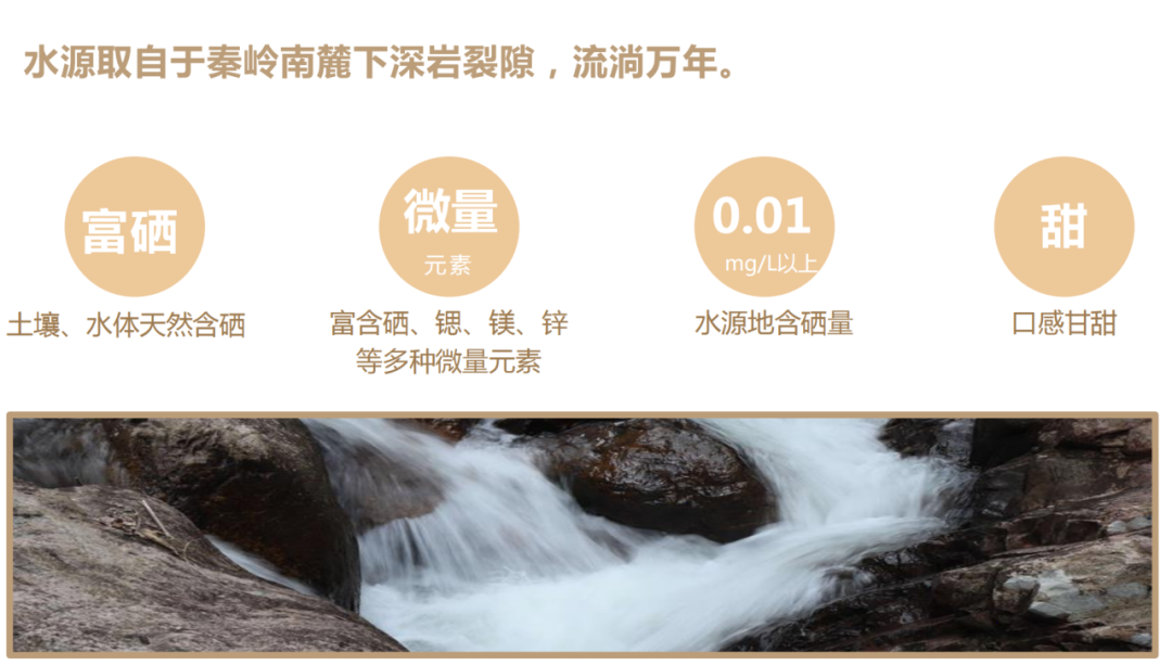 补硒剂有哪些（硒补充剂有哪些）-硒宝网