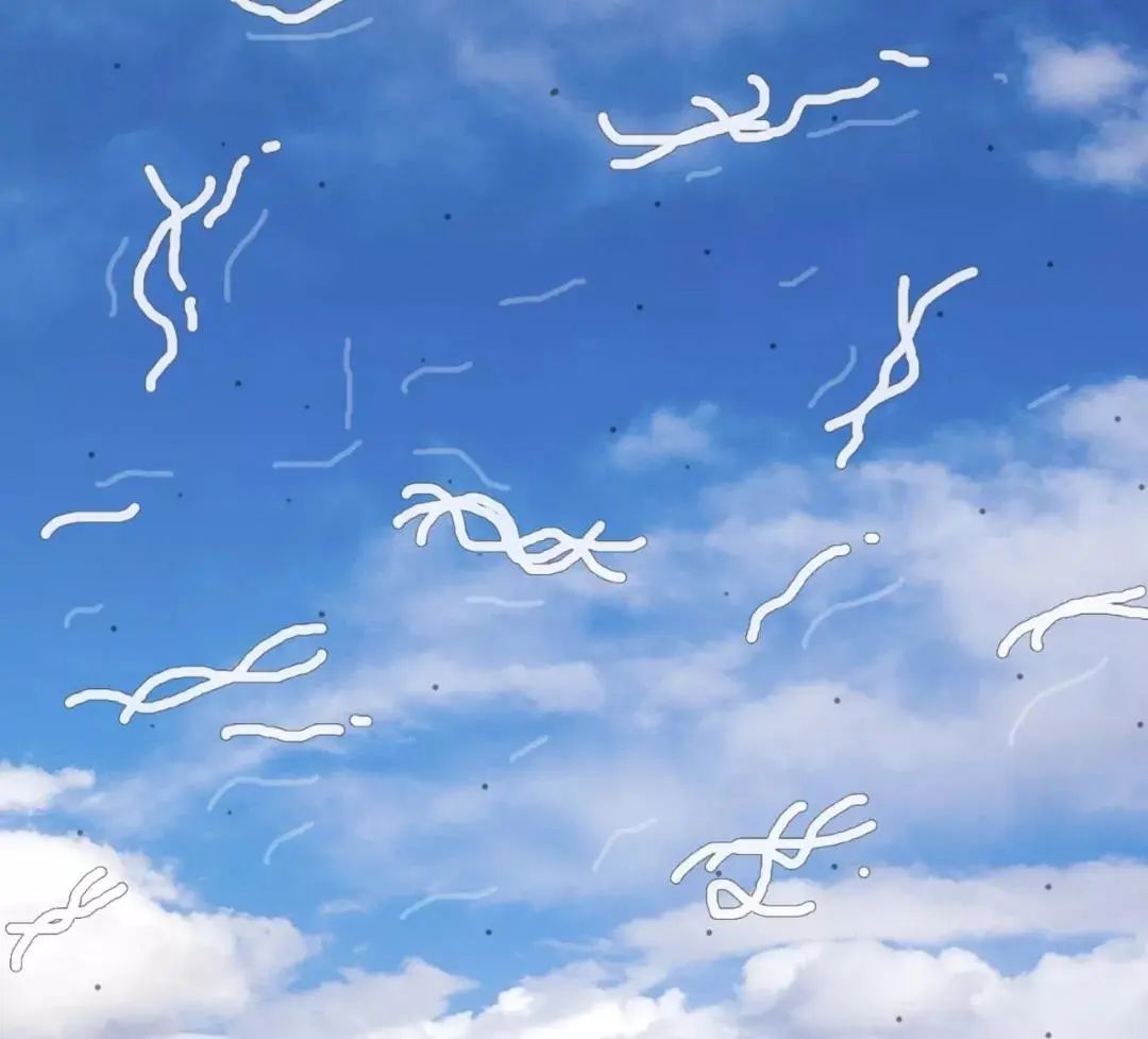 补硒剂有哪些(补充硒有副作用吗)-硒宝网