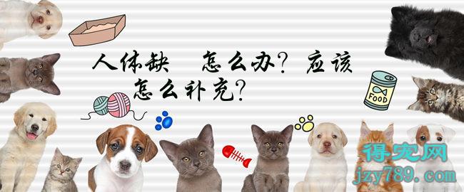 硒和镁怎么补(硒和镁怎么补)-硒宝网