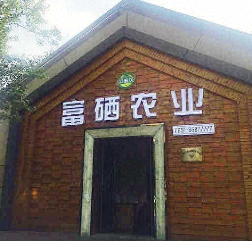 球蛋白高补硒(硒蛋白高怎么办)-硒宝网