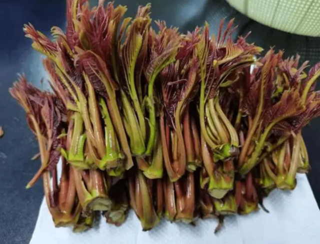 吃什么菜补硒（补硒的菜）-硒宝网