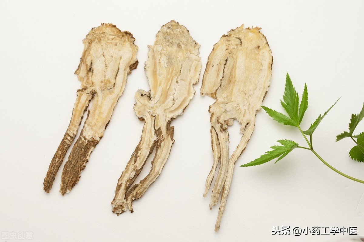 当归能补硒吗(当归片补肾吗)-硒宝网