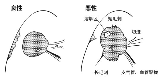 医生说要补硒(补硒是吃药还是保健品)-硒宝网