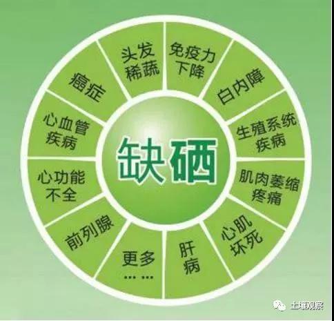 缺硒怎么补呢(缺硒怎么补呢)-硒宝网