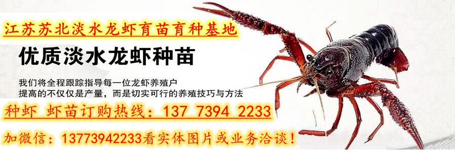 母牛用补硒吗（犊牛补硒）-硒宝网