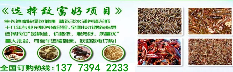 母牛用补硒吗（犊牛补硒）-硒宝网