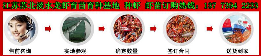 母牛用补硒吗（犊牛补硒）-硒宝网