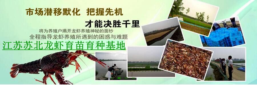 母牛用补硒吗（犊牛补硒）-硒宝网