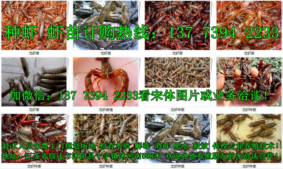 母牛用补硒吗（犊牛补硒）-硒宝网