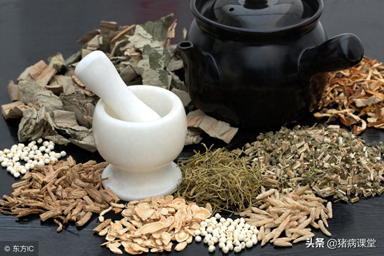 仔猪为什补硒(猪补硒过量怎么办)-硒宝网