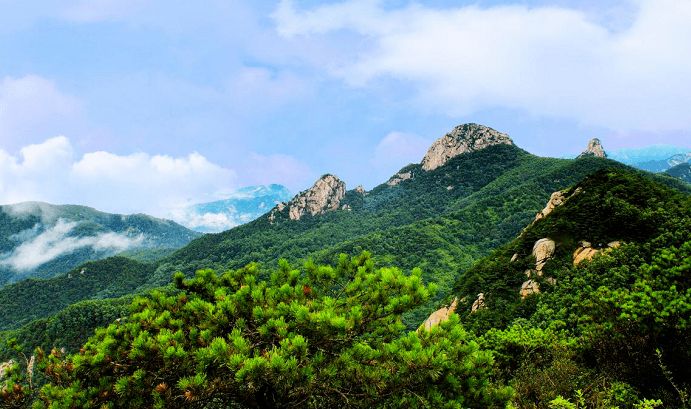 玲珑菊补硒吗(玲珑菊的产地在哪里)-硒宝网