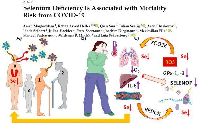感染新冠补硒（关于补硒对抗新冠肺炎）-硒宝网