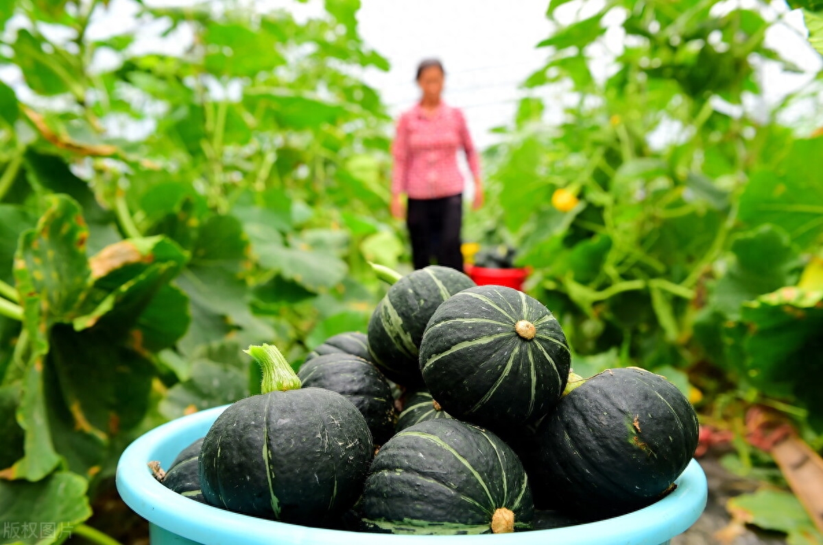补硒片富硒康（补硒片富硒康）-硒宝网