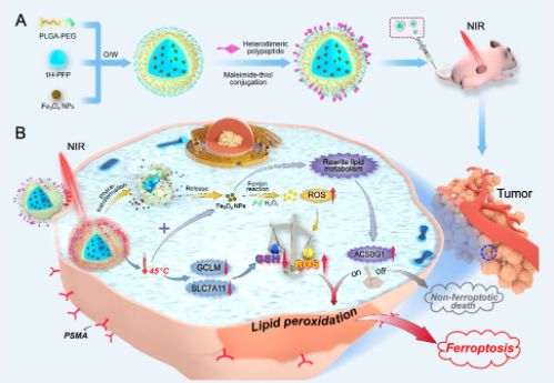 是补硒抗癌吗（补硒防癌）-硒宝网