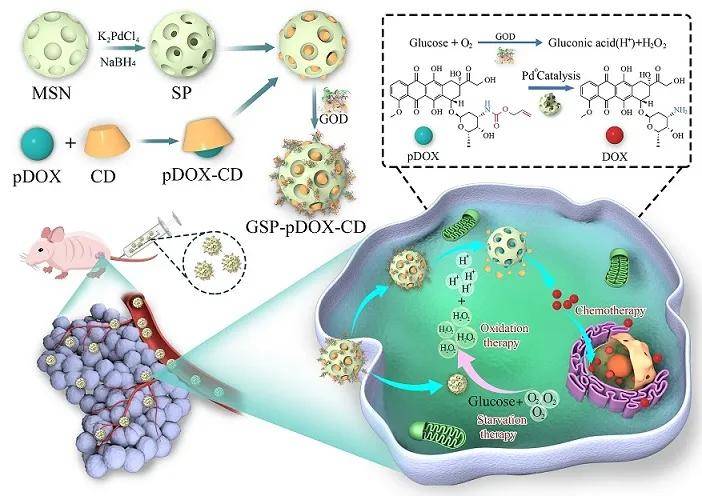 是补硒抗癌吗（补硒防癌）-硒宝网