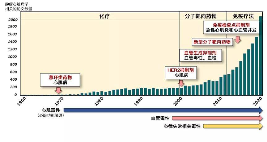 是补硒抗癌吗（补硒防癌）-硒宝网