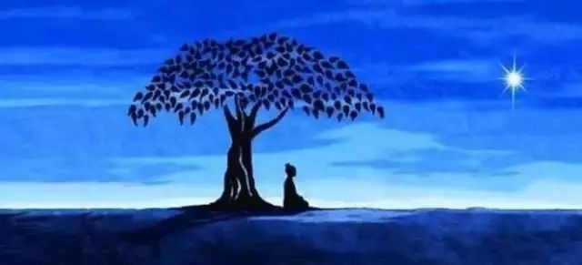 吃啥水果补硒(补充硒的水果)-硒宝网