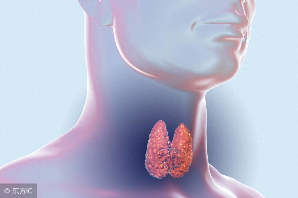 补硒什么时间(补硒什么时间)-硒宝网