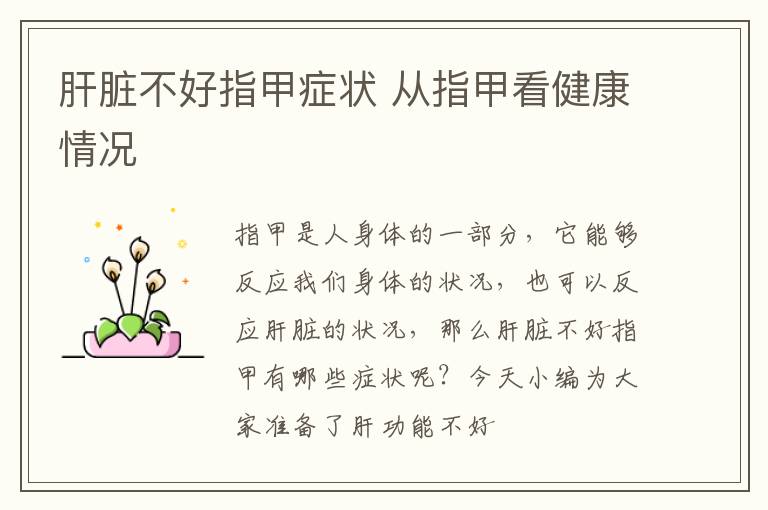 补硒有药片吗(补硒的药有害)-硒宝网