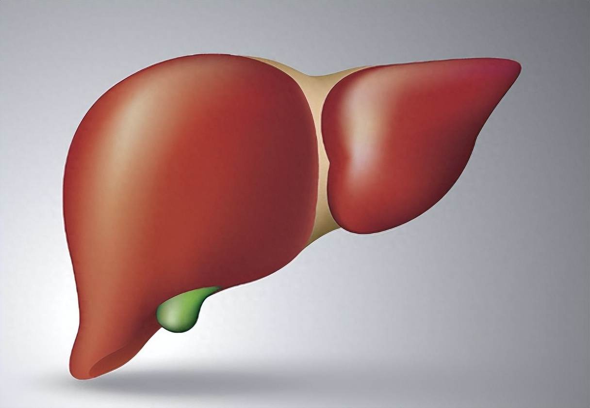 生蚝补硒含量（生蚝硒元素）-硒宝网