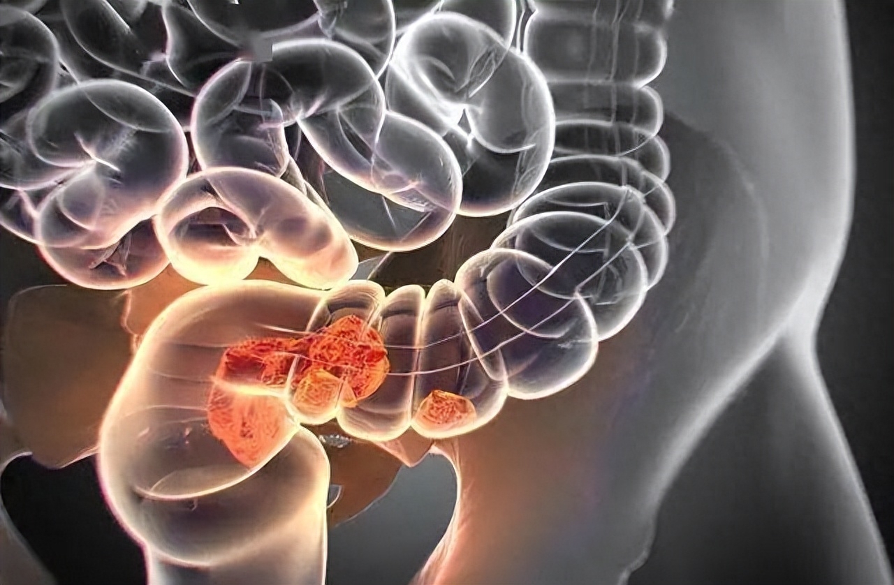 生蚝补硒含量（生蚝硒元素）-硒宝网