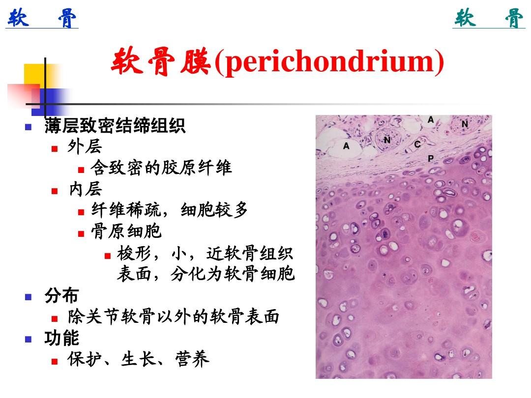 大骨节病补硒（补硒治疗大骨节病）-硒宝网