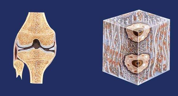 大骨节病补硒（补硒治疗大骨节病）-硒宝网